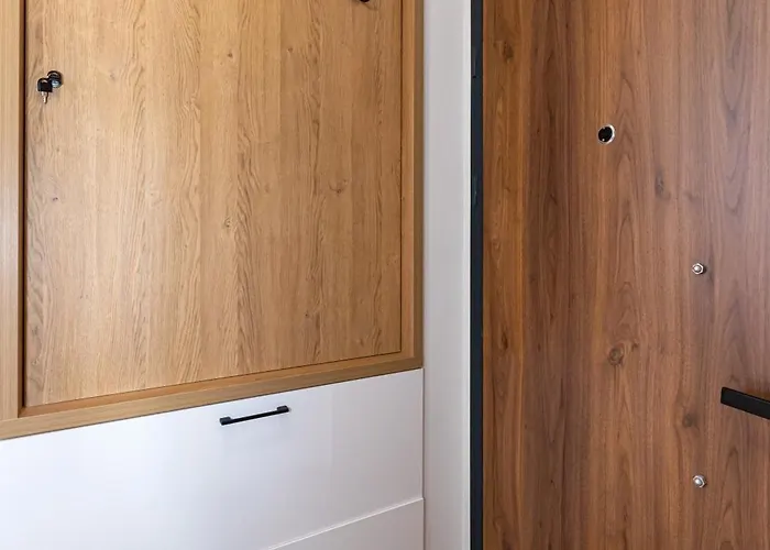 Magic Mountain アパート ズラティボール